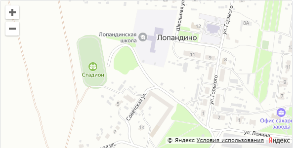МБОУ Лопандинская СОШ.